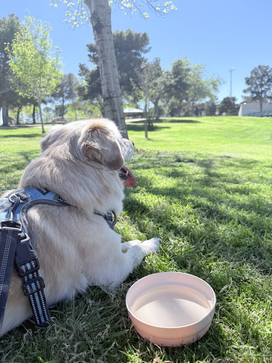 Jen 🍋 LemonKiwi tweet media