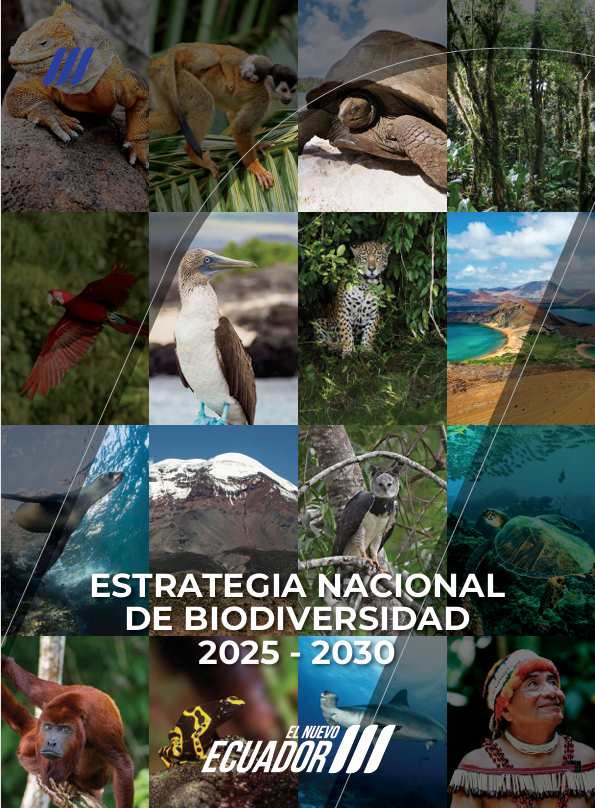 PNUD Ecuador tweet media