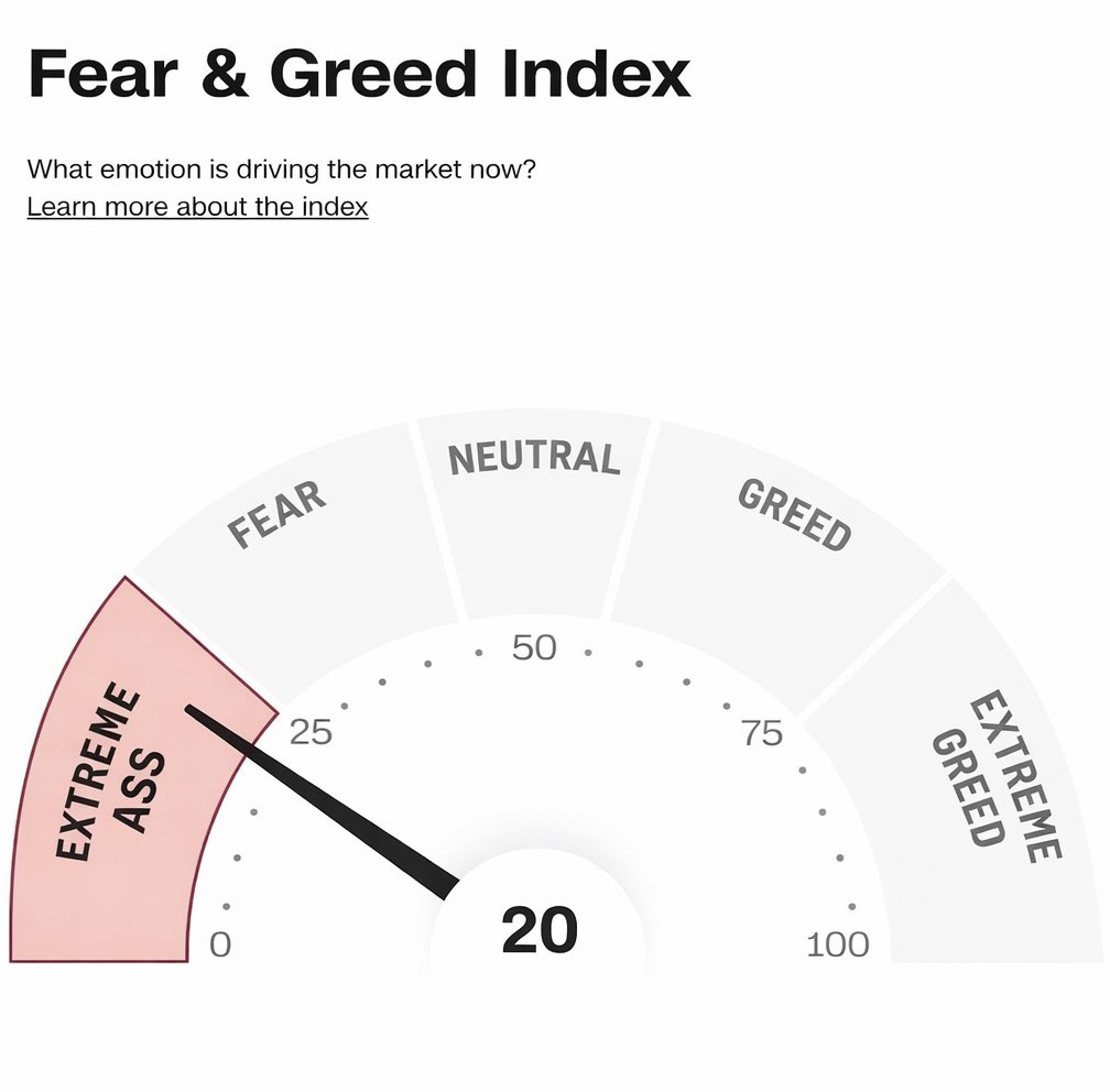 TheBronxViking tweet media