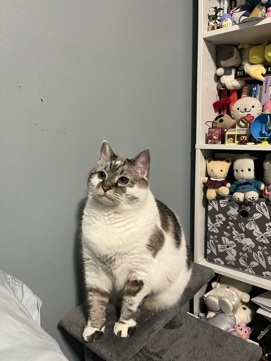 Catherine Tinker tweet media