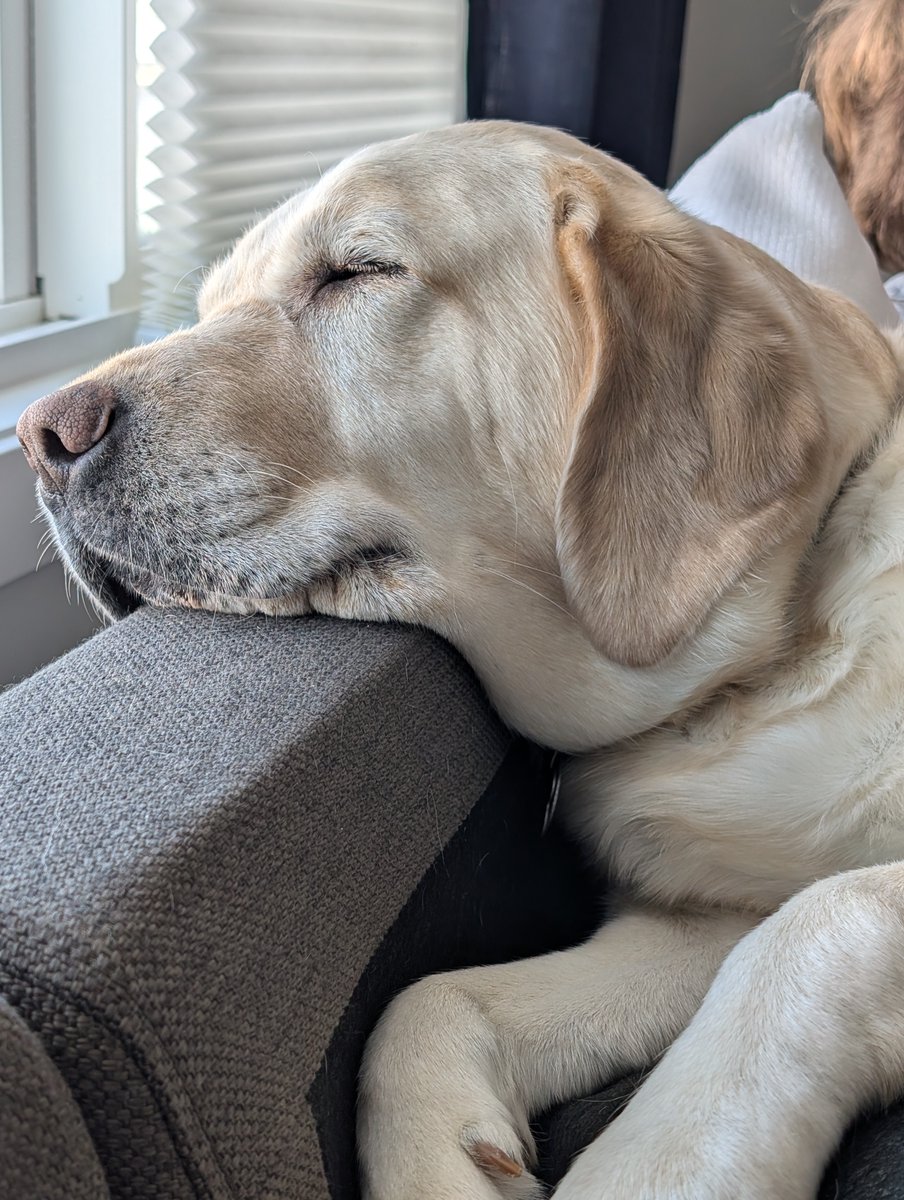 spygra 🔜 PAX East tweet media