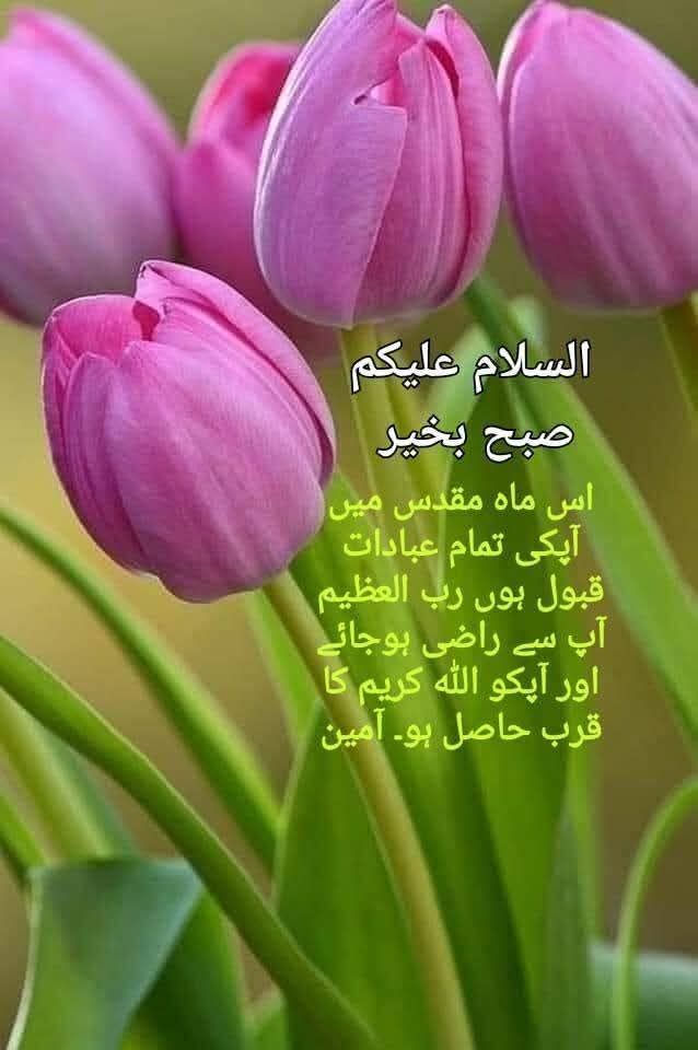 Zubair Ahmad Abbasi tweet media