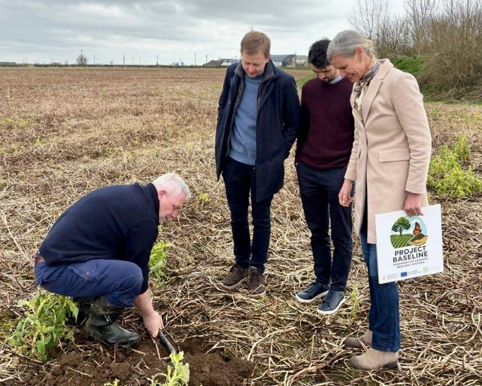 Project BASELINE tweet media