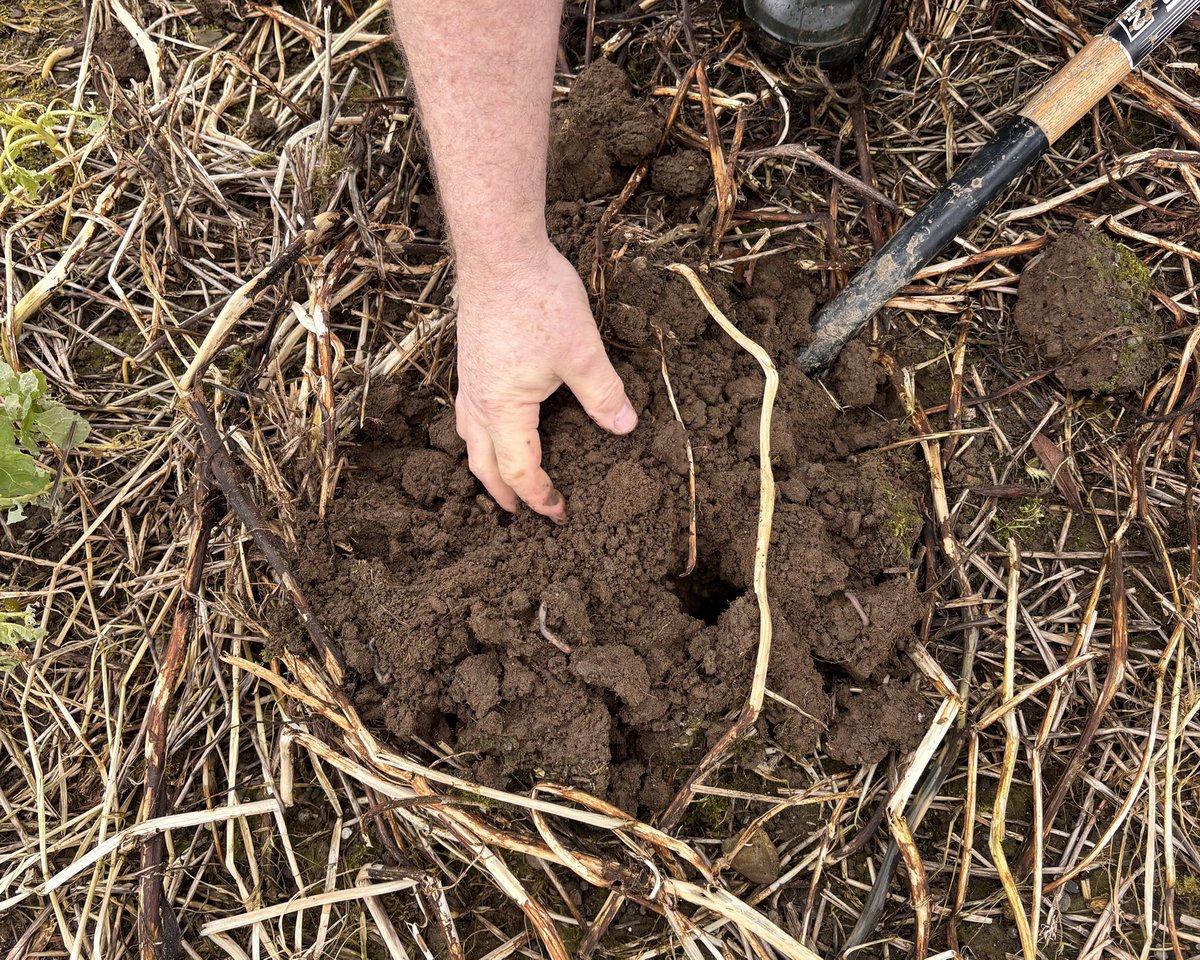 Project BASELINE tweet media