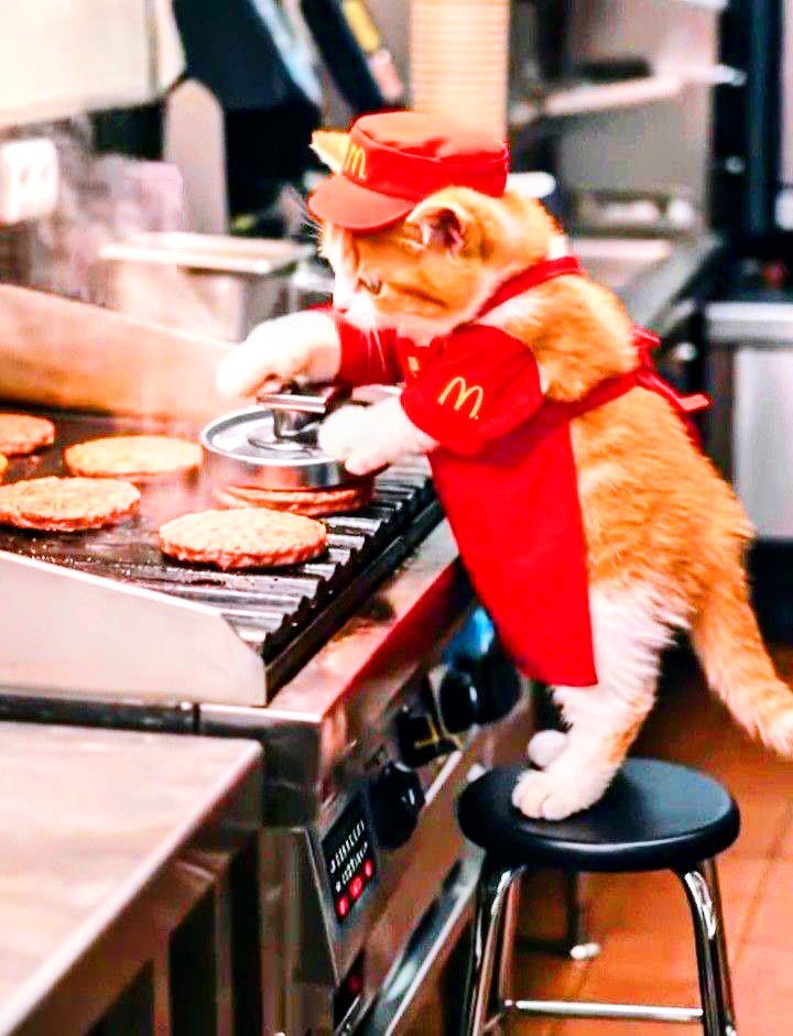 LOVE 🍒 TREE tweet media