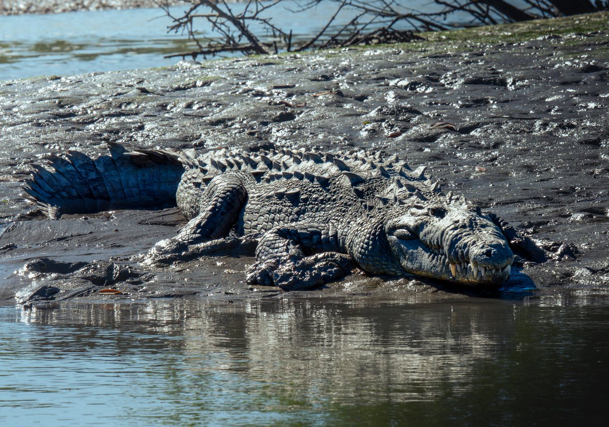 XANDER GEOGRAPHIC 🏕️ tweet media