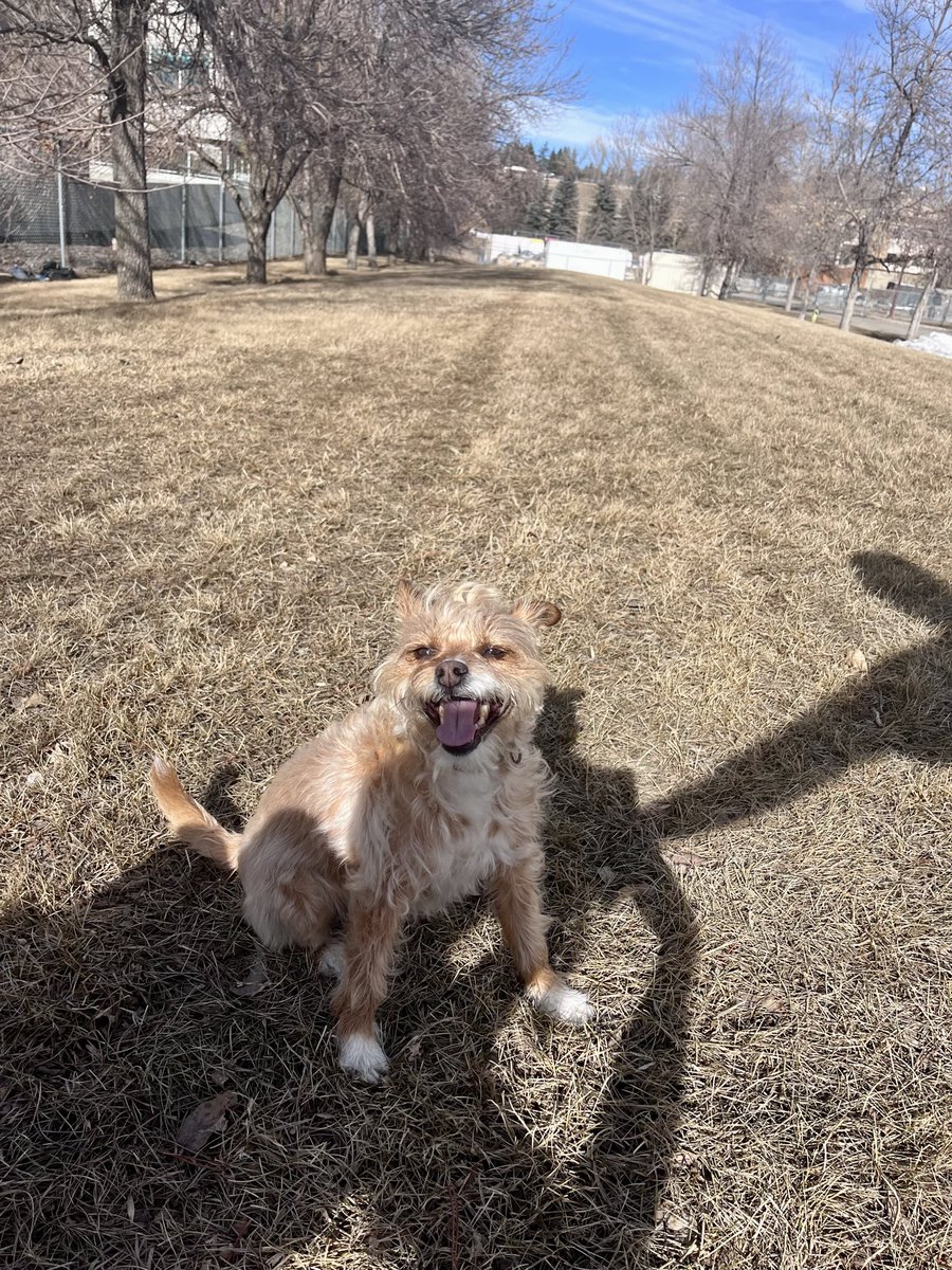 J Bachtold tweet media