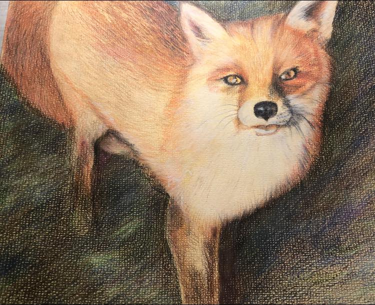 Gisela Nordell tweet media