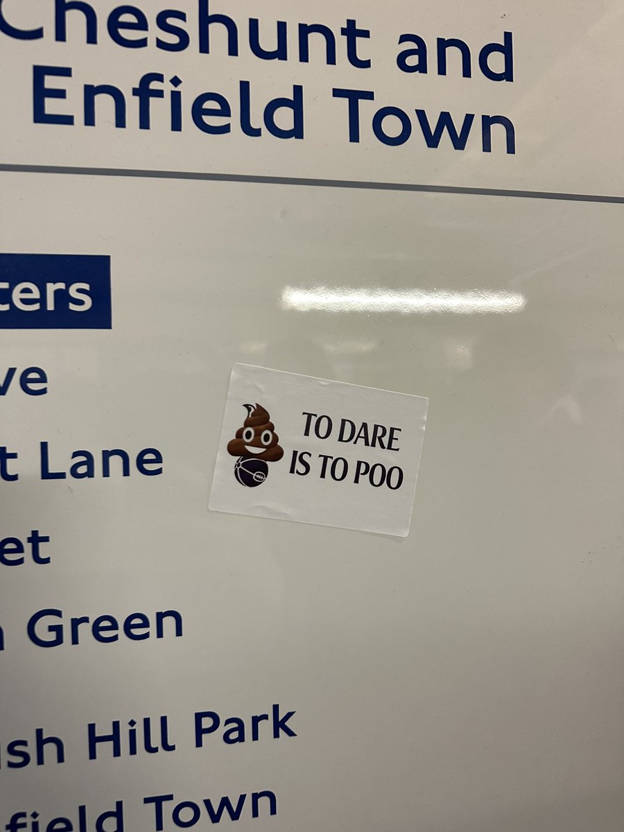 Tash Everitt tweet media