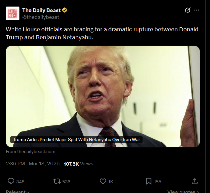 Niccolo Soldo (Fisted By Foucault) tweet media