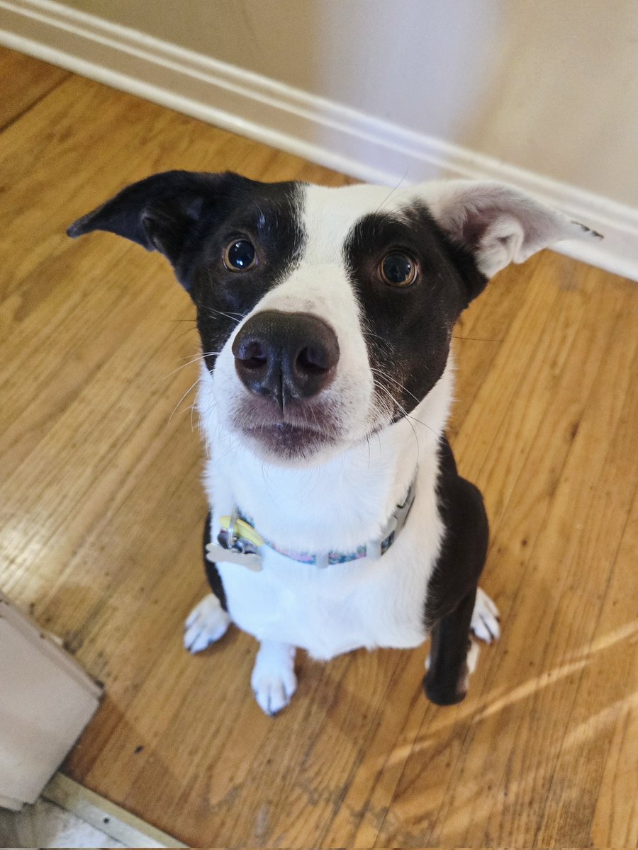 Rachael Sinclair 🎨☕ tweet media