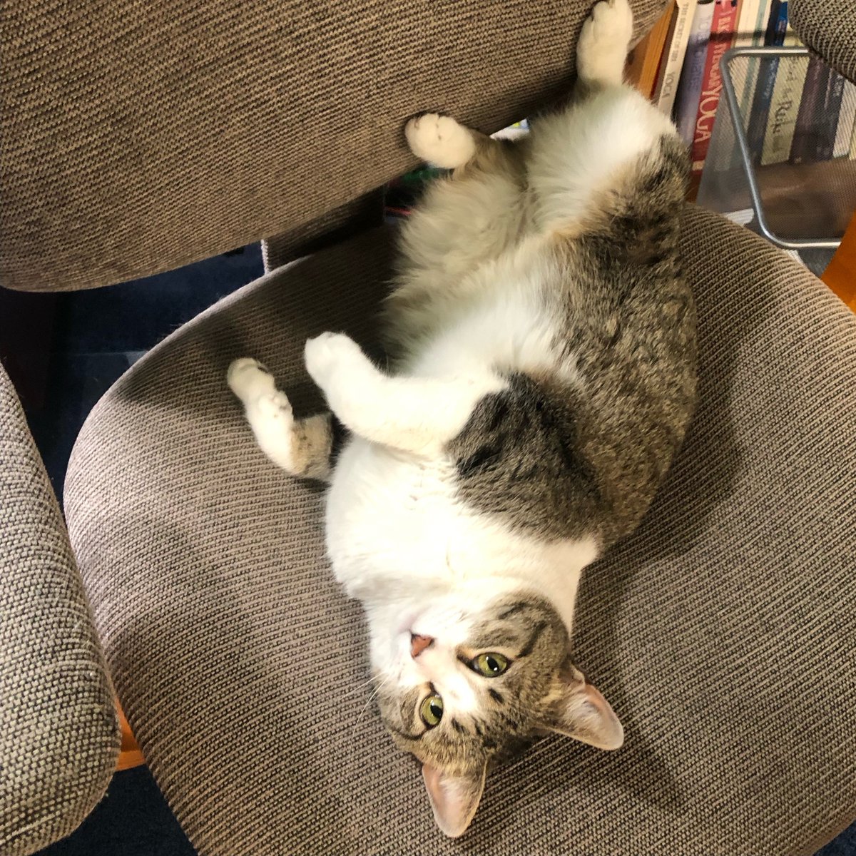 Aura Wellness Center tweet media