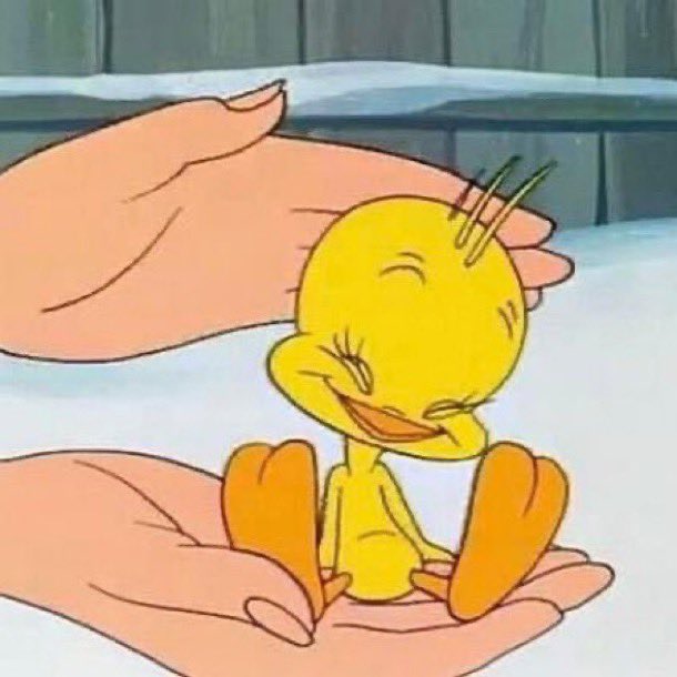 El Guarromántico tweet media