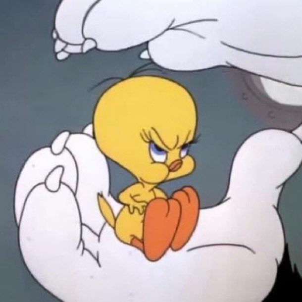 El Guarromántico tweet media