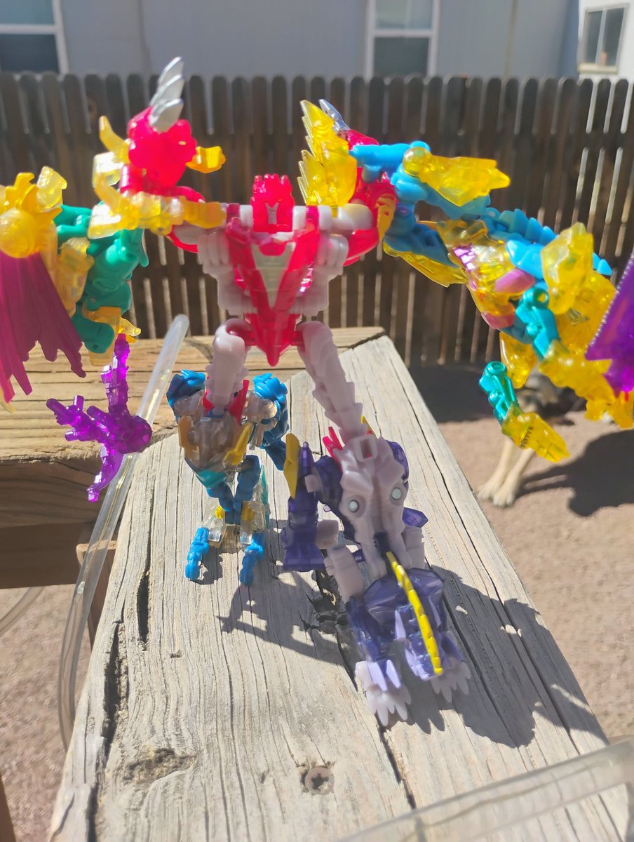 Rando Cos Girly🏳️‍⚧️ tweet media