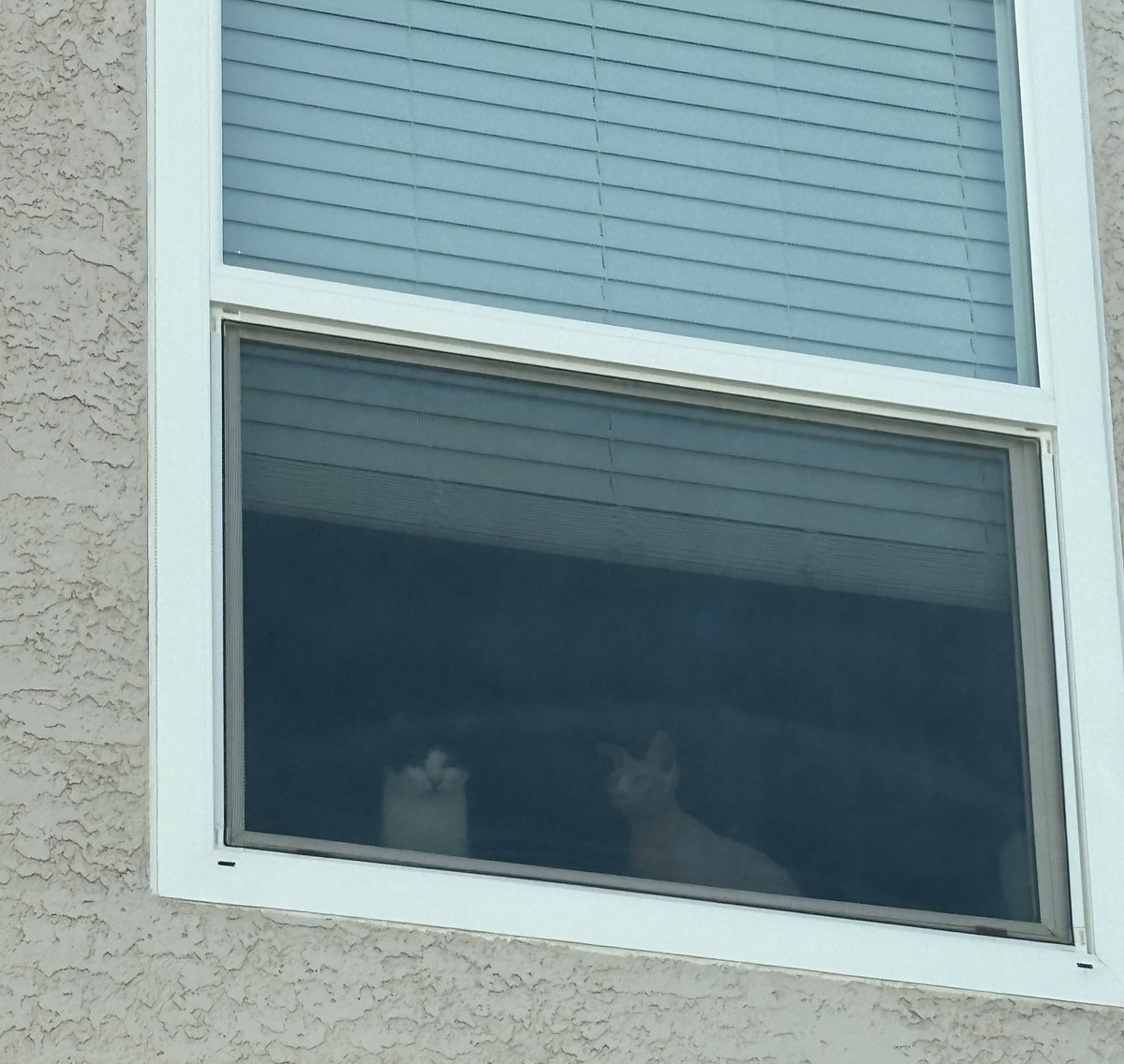 logan ashley tweet media