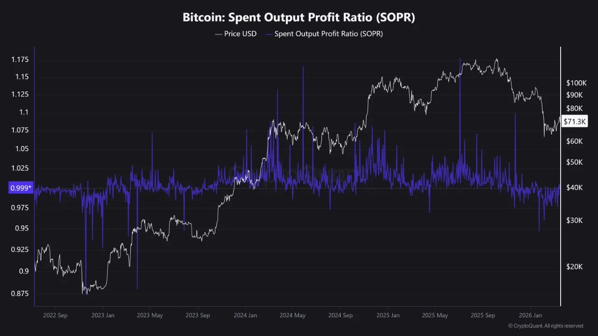 CryptoQuant.com Japan🇯🇵 tweet media