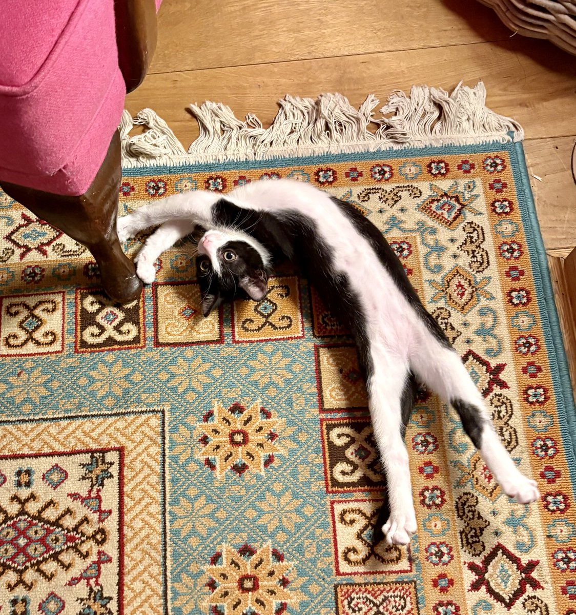 Kiran Sidhu tweet media