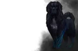 OldDogStudio tweet media