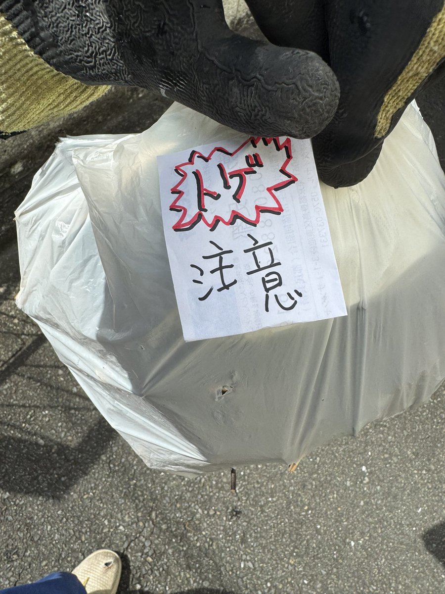 マシンガンズ滝沢 tweet media