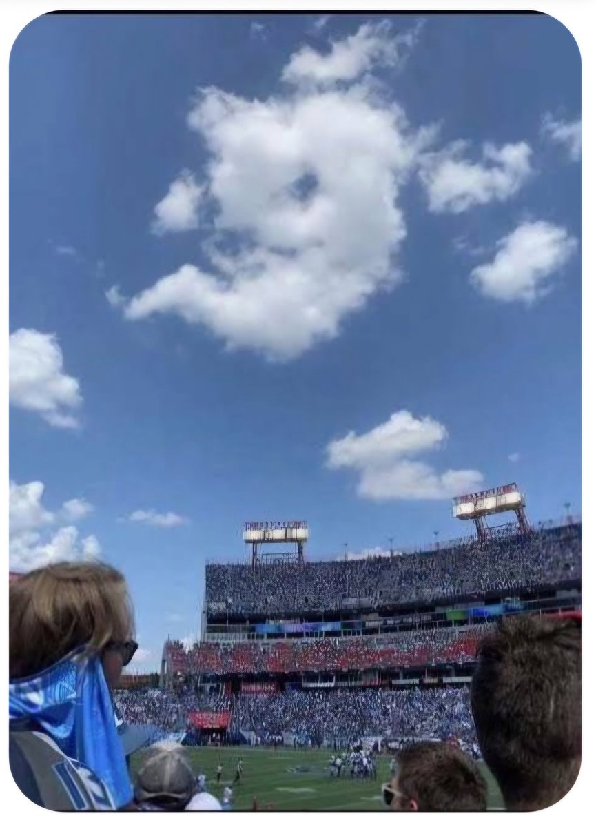 Mary Frances tweet media