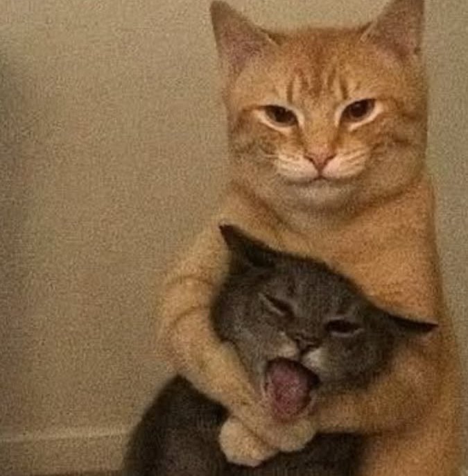 CENA | DESIGNER tweet media