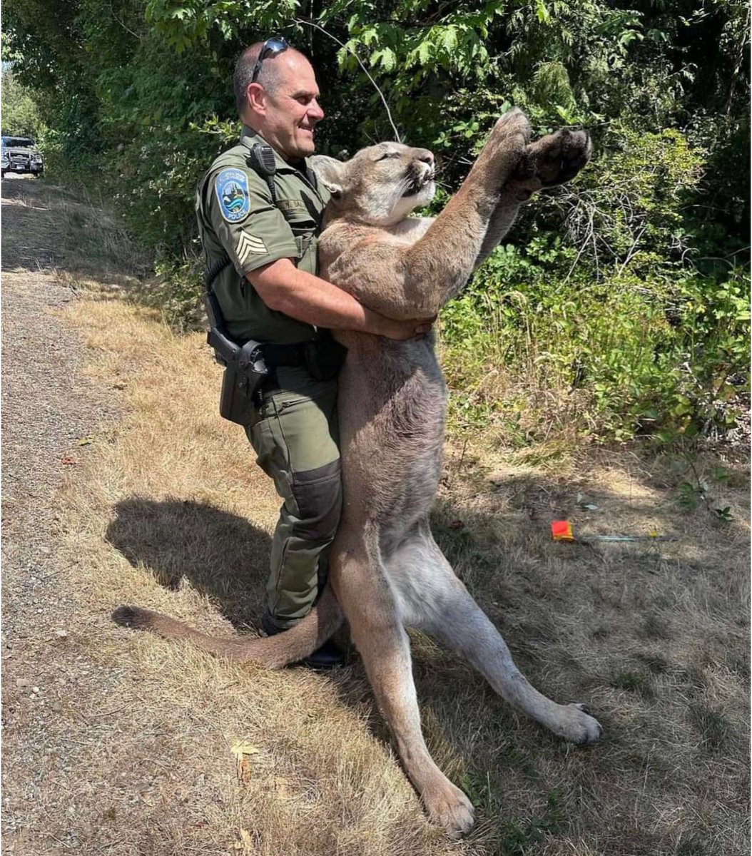 Eric Jon Boerner tweet media