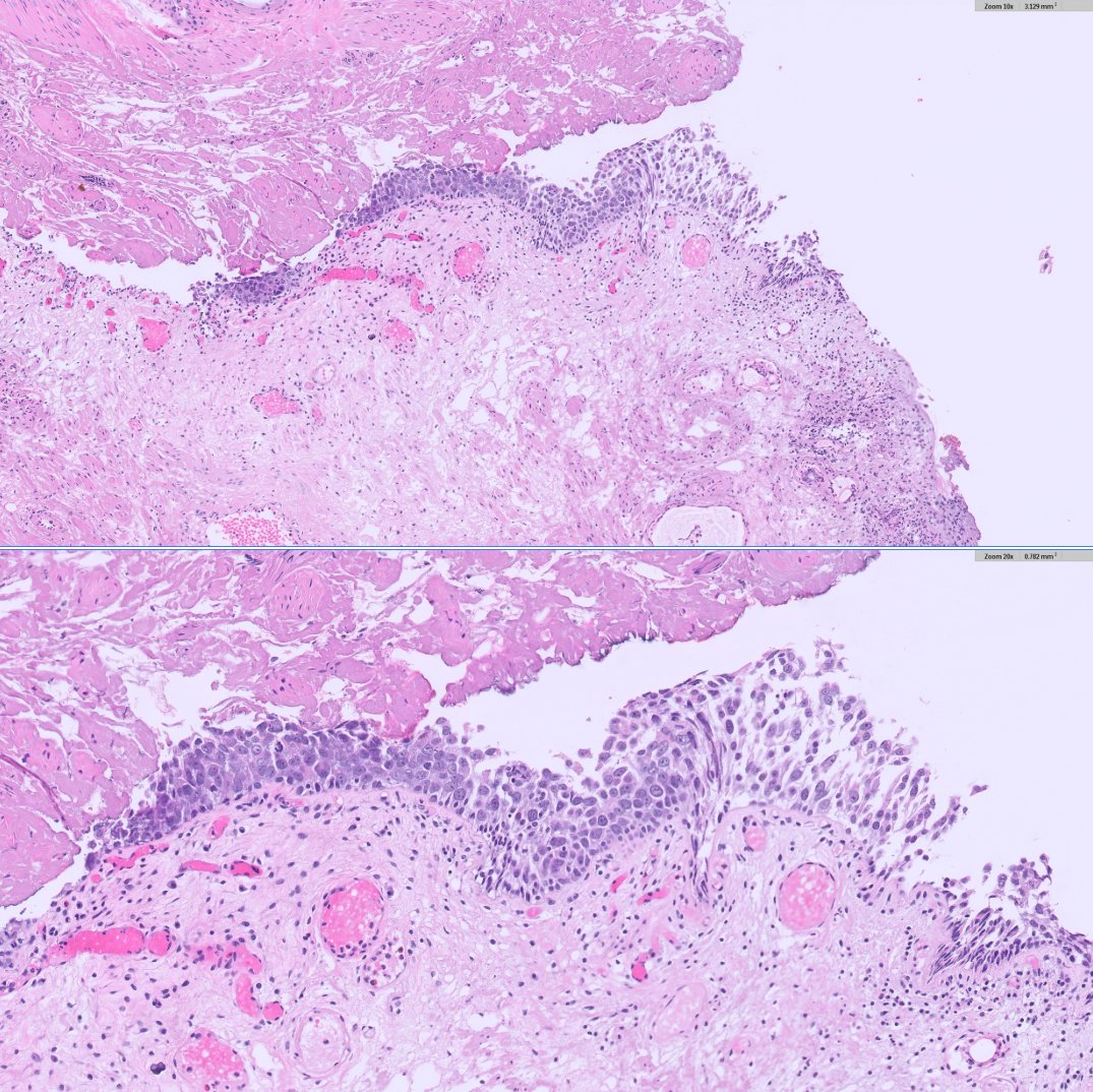 Ankur Sangoi tweet media