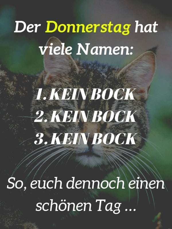 ArnoNühm tweet media