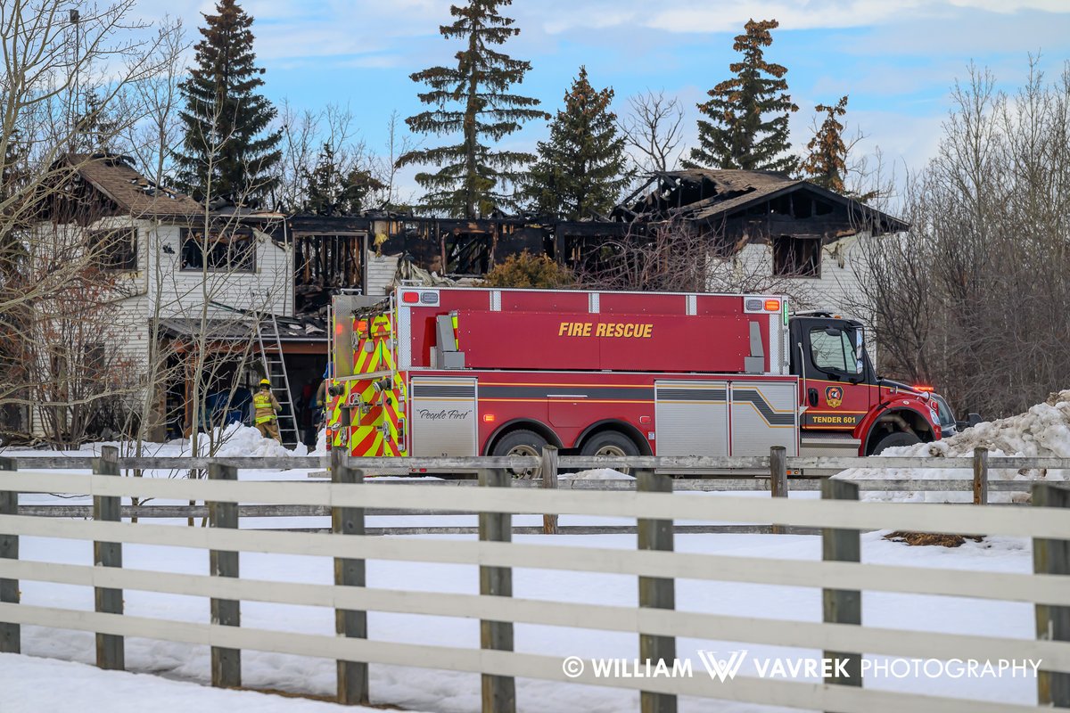 William Vavrek tweet media