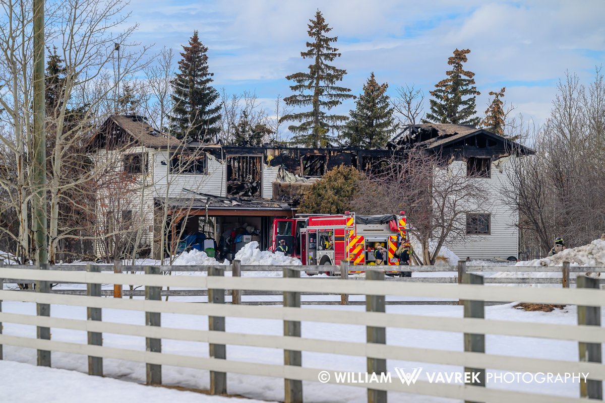 William Vavrek tweet media