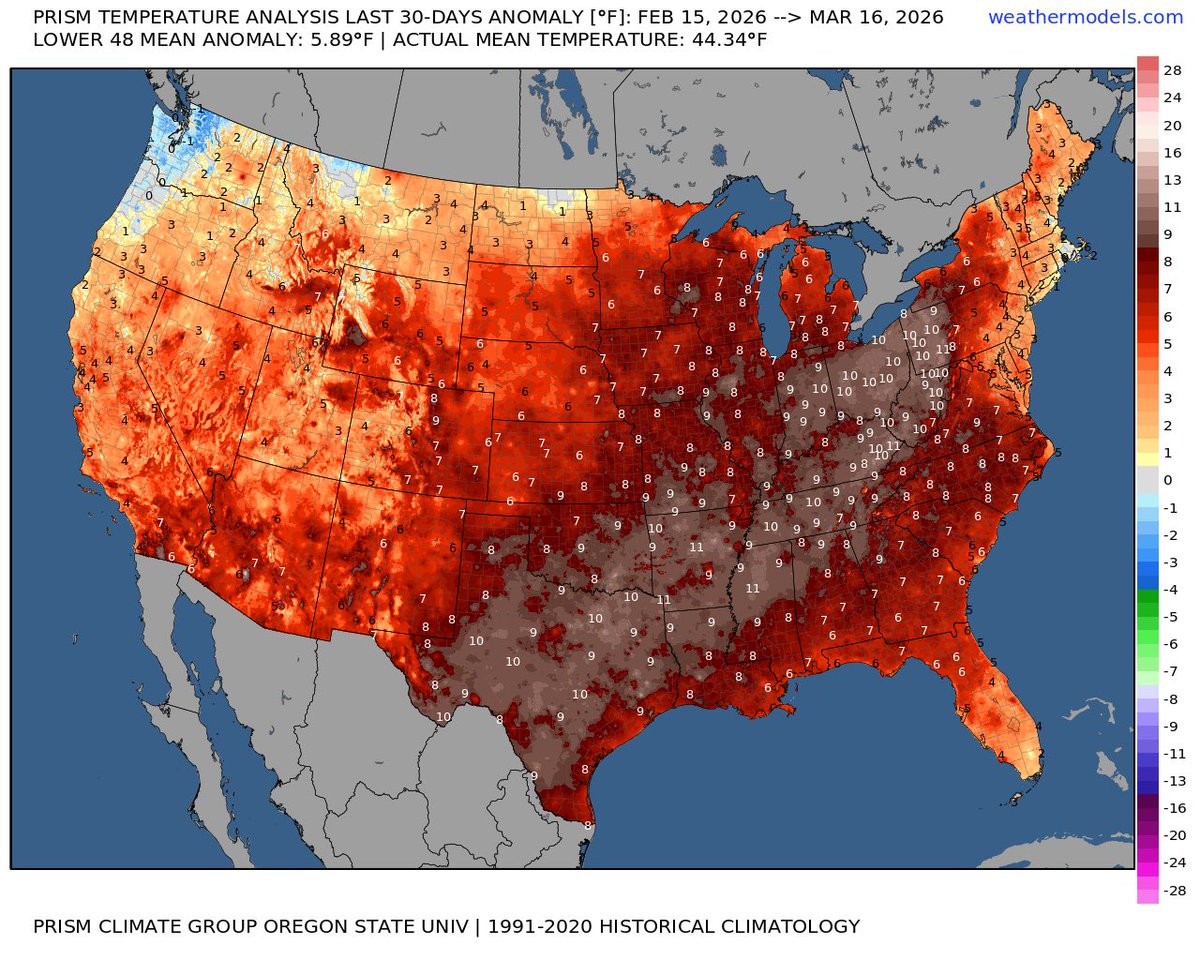 Stephen Eckhardt ☀️ tweet media