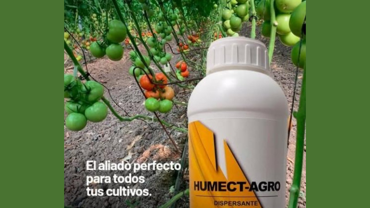 QuimiNet tweet media