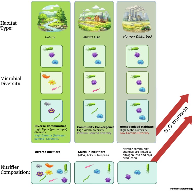Trends in Microbiology tweet media