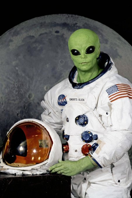 SpiceIce tweet media