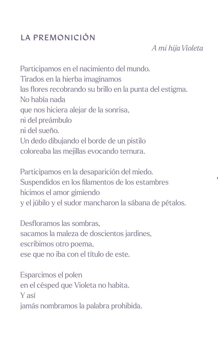 Team Poetero tweet media