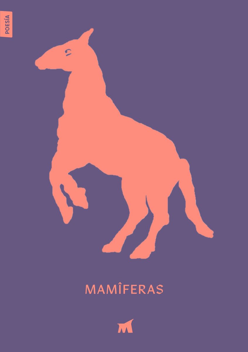 Team Poetero tweet media