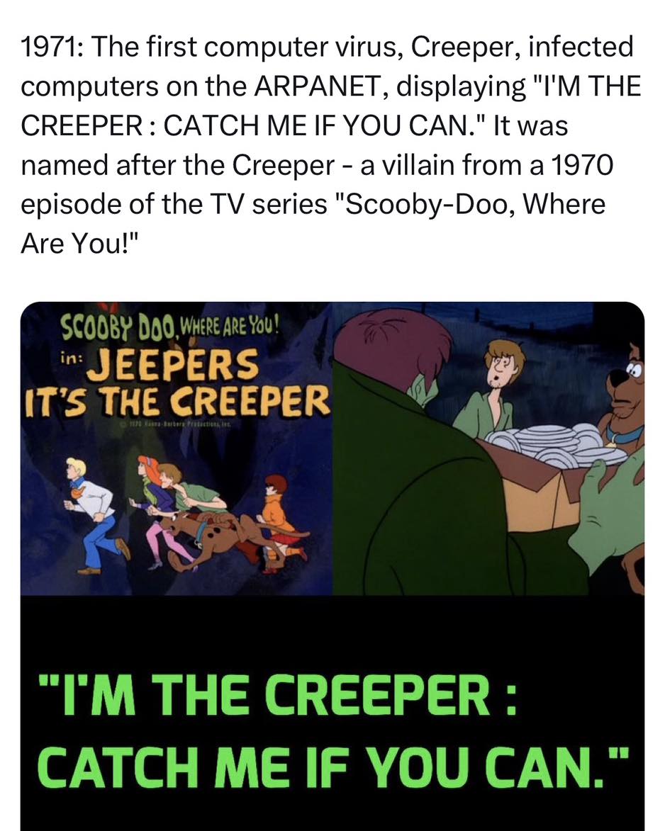 ScoobyAddict tweet media