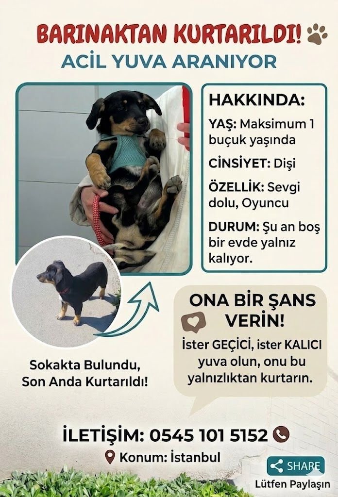 Zülal Kutluer tweet media