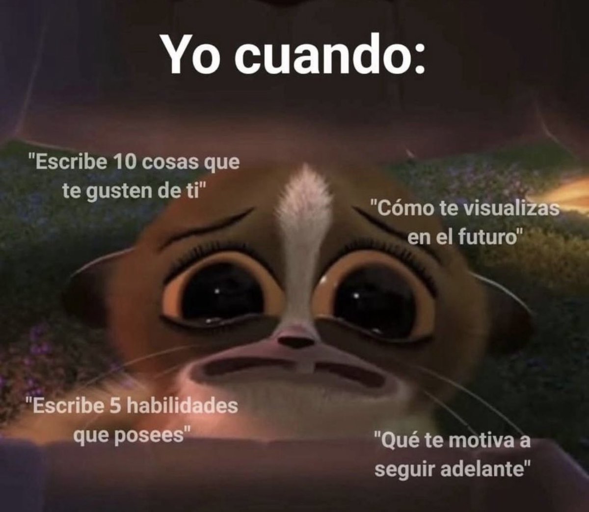 Memakker tweet media