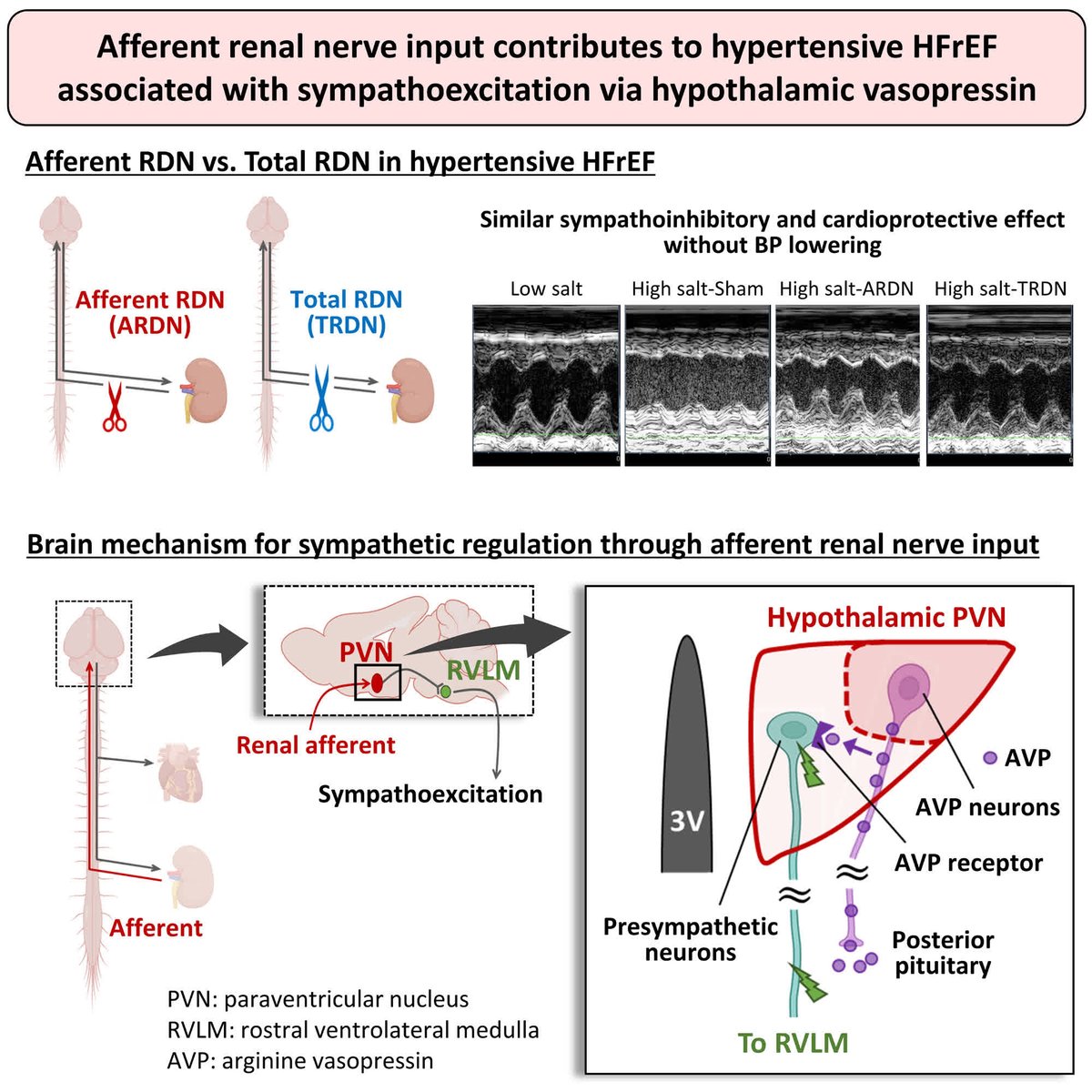 Hypertension tweet media