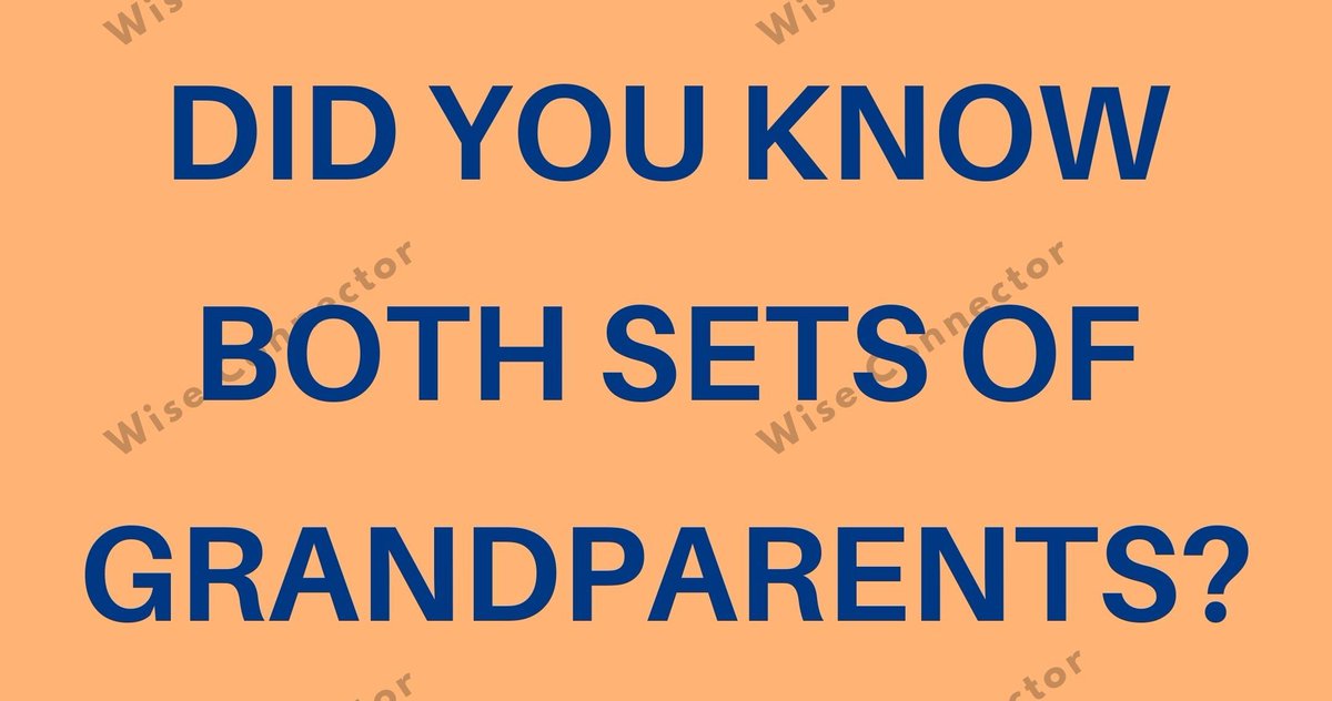 Ｗ 𝗜 𝗦 𝗘 𝗖 𝗢 𝗡 𝗡 𝗘 𝗖 𝗧 𝗢 𝗥 ™ 💬 tweet media