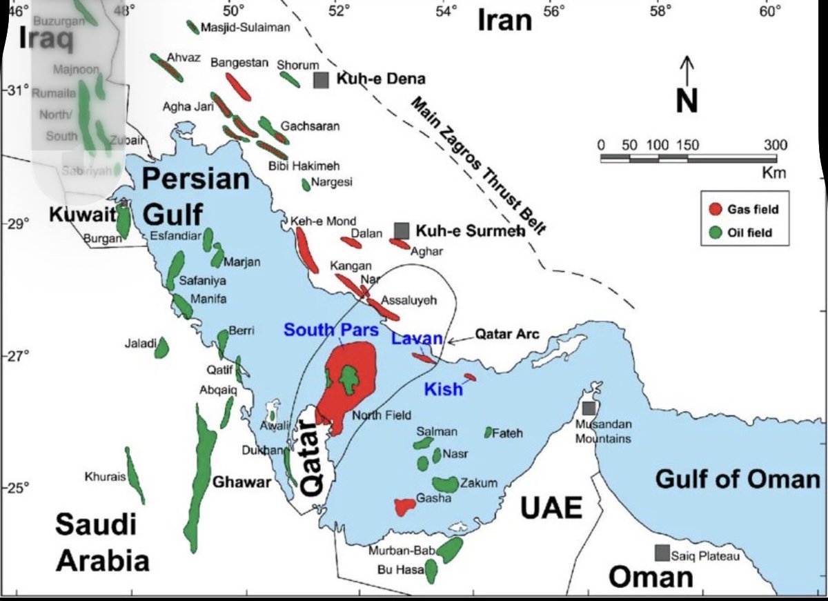 Michael 🇩🇪 tweet media