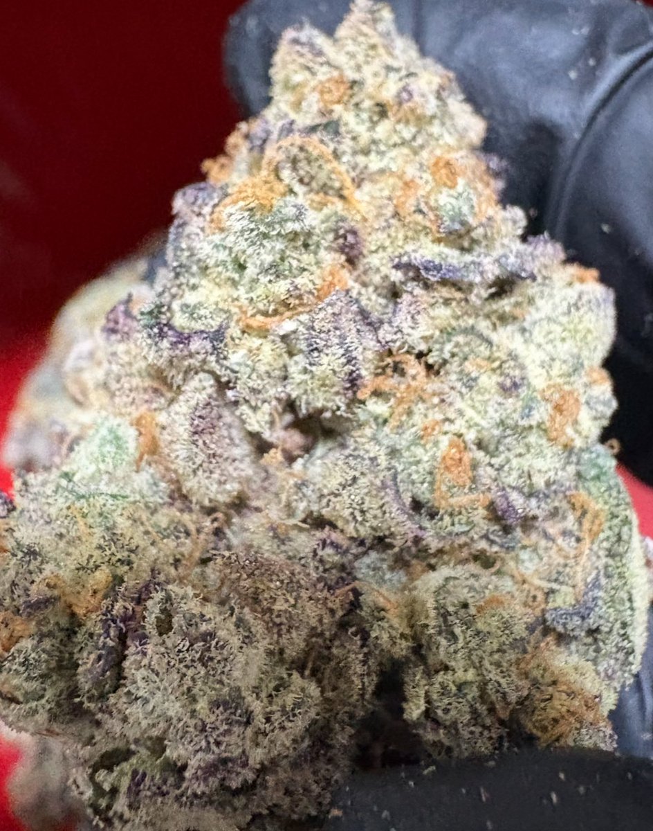 界隈のドン tweet media