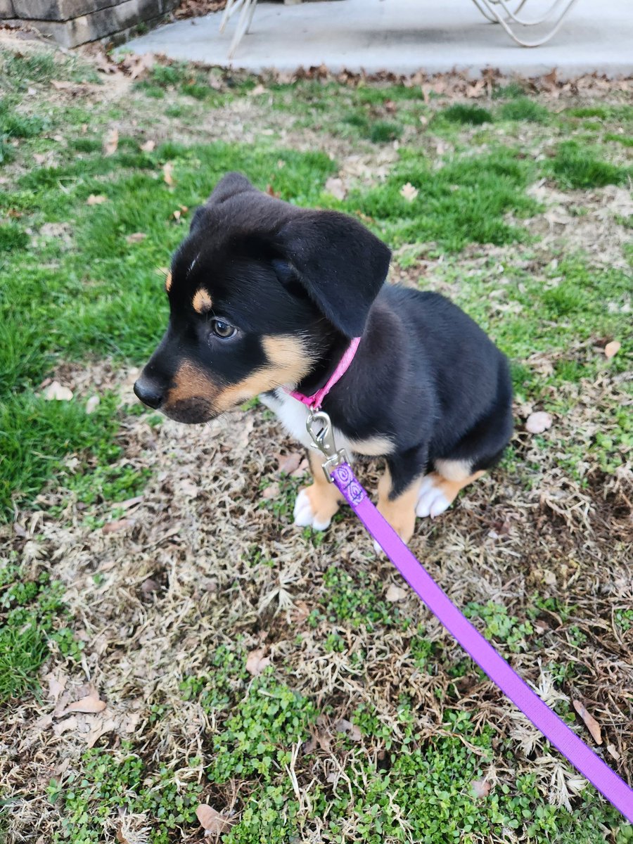 Scot....with one T!!! tweet media