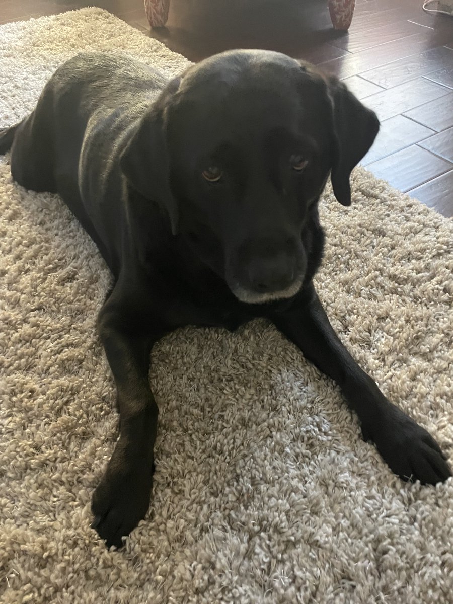 Holly Cain tweet media