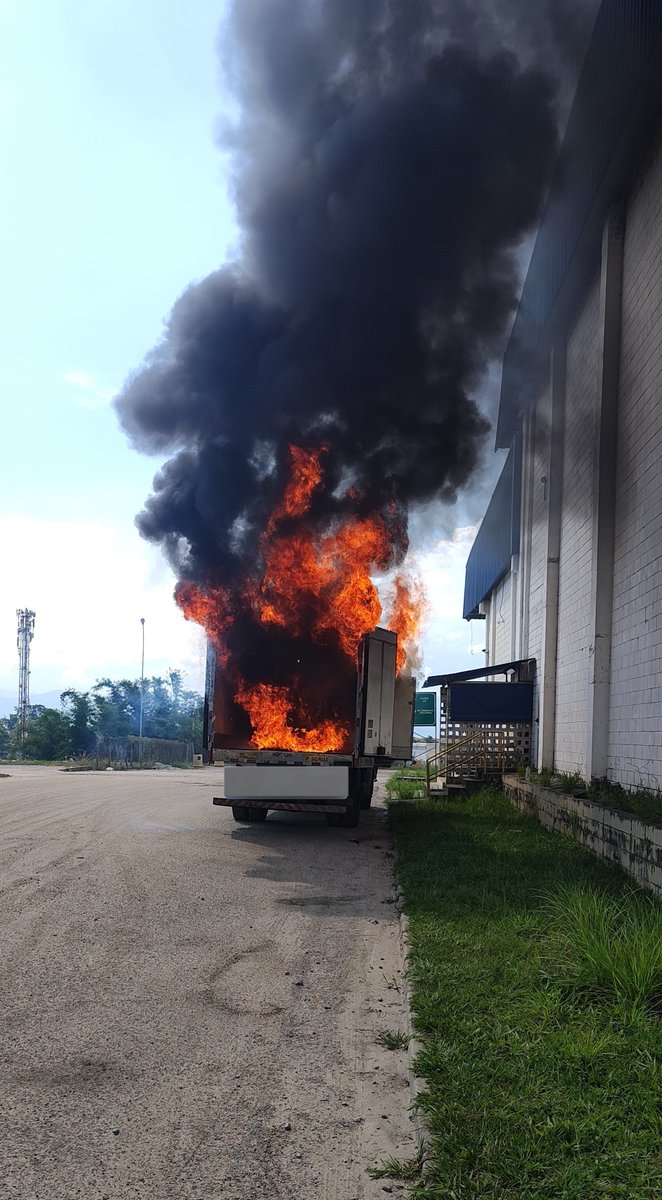 𝑷𝒂𝒍𝒎𝒆𝒊𝒓𝒆𝒏𝒔𝒆 𝑵𝒆𝒘𝒔 tweet media