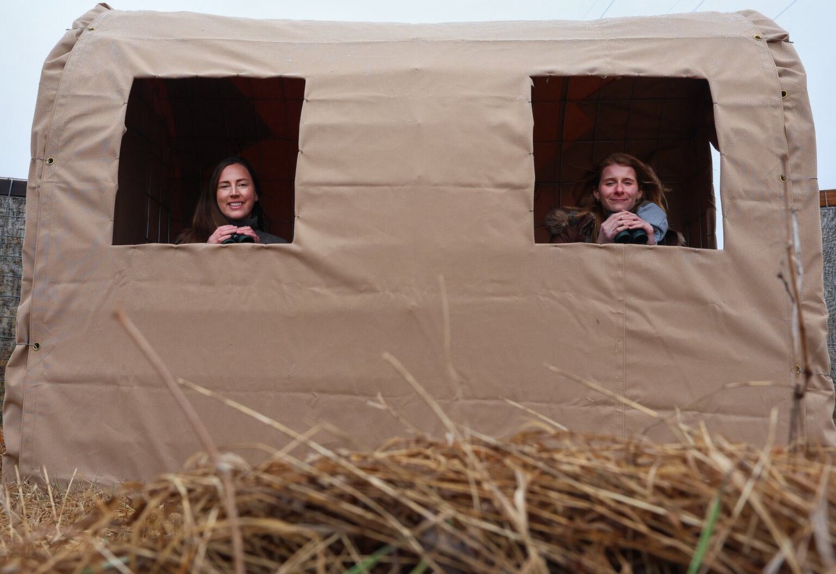 University of Nebraska at Kearney tweet media