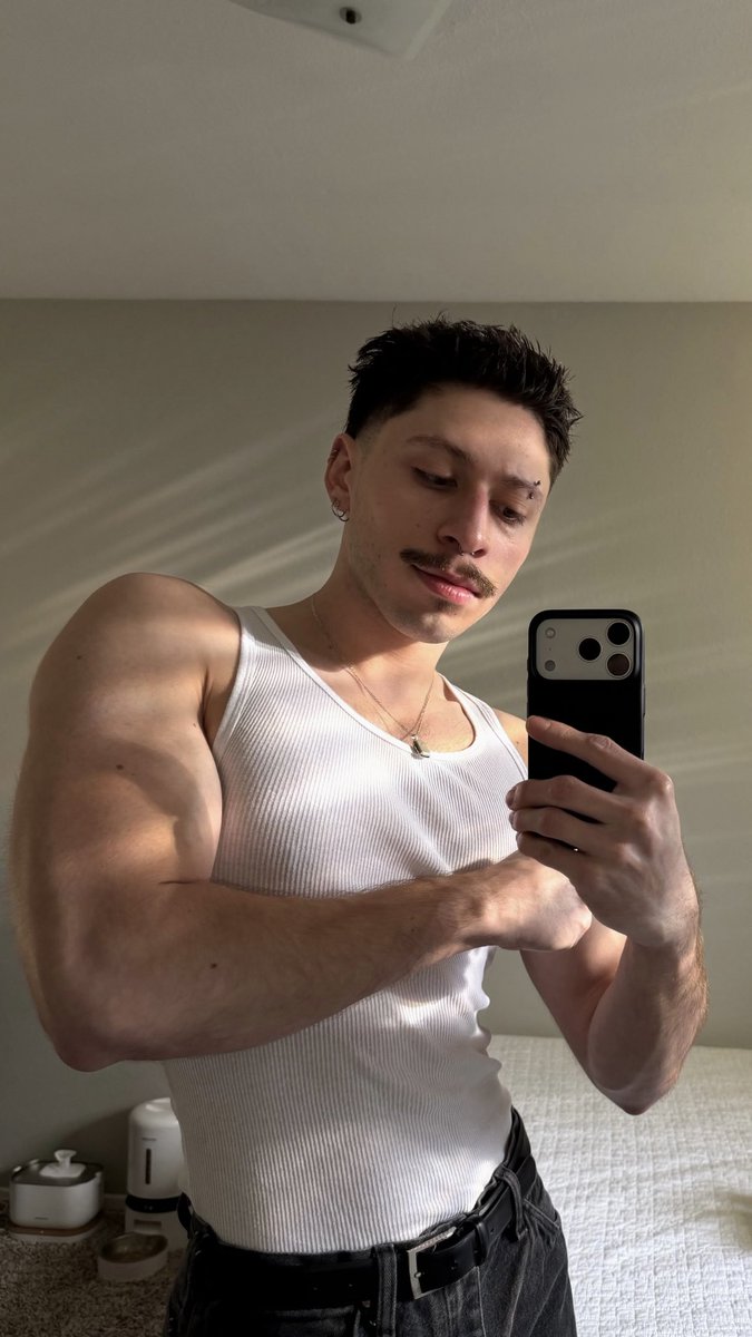 housefly tweet media