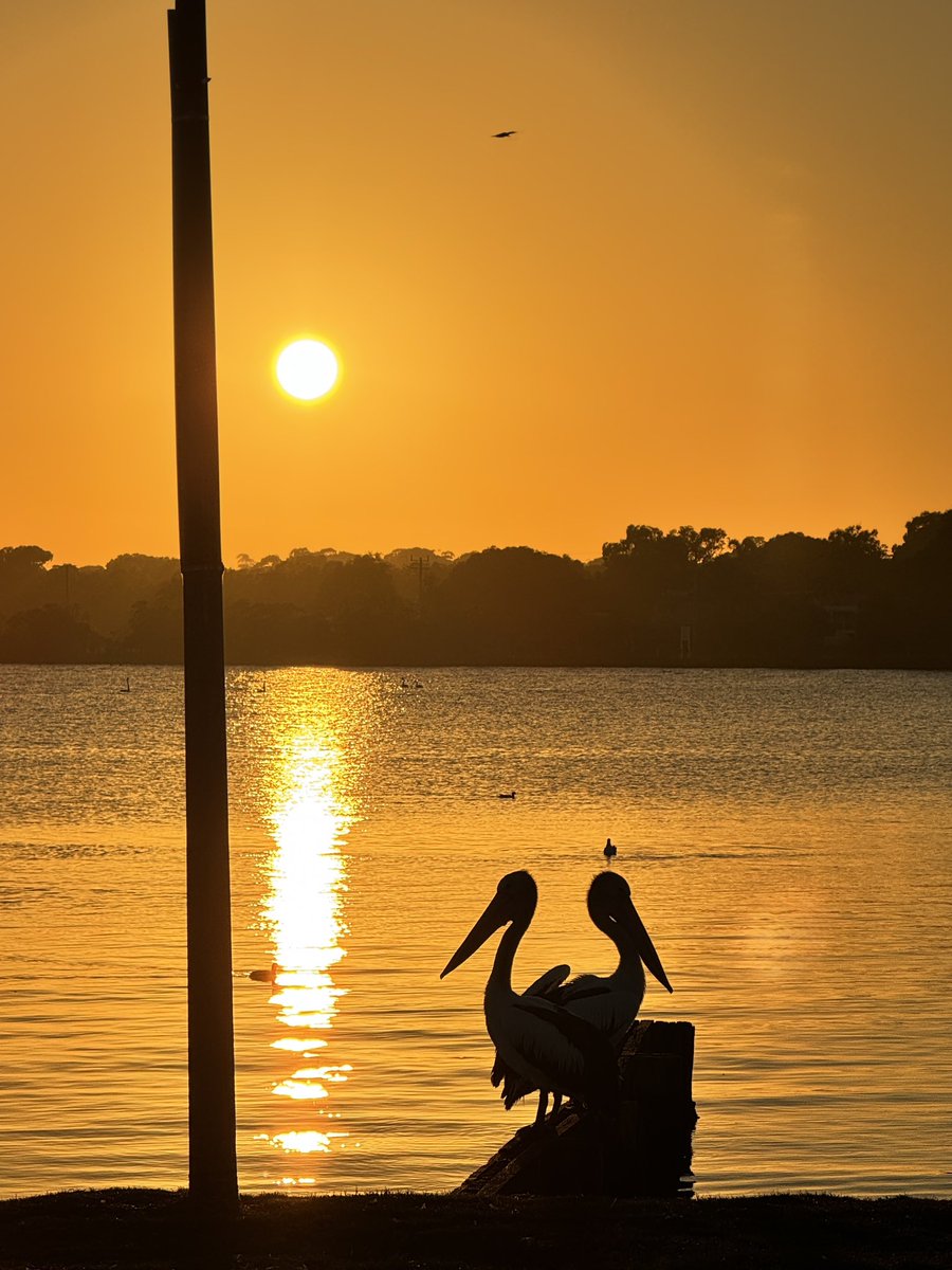 Marie Parr tweet media